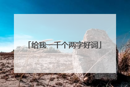 给我一千个两字好词
