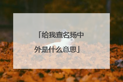 给我查名扬中外是什么意思