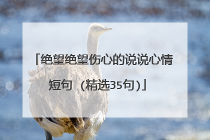 绝望绝望伤心的说说心情短句 (精选35句)