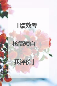 绩效考核简短自我评价