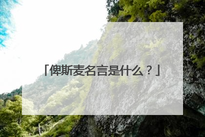 俾斯麦名言是什么？