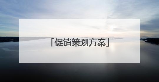 促销策划方案
