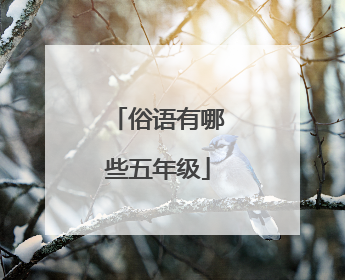 俗语有哪些五年级