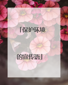 保护环境的宣传语