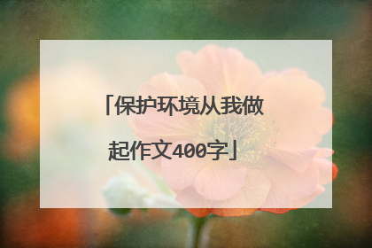 保护环境从我做起作文400字