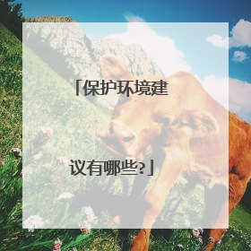 保护环境建议有哪些?
