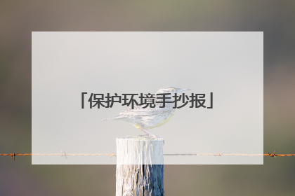 保护环境手抄报