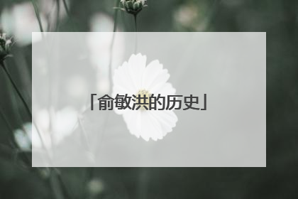俞敏洪的历史