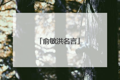 俞敏洪名言