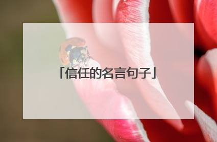 信任的名言句子
