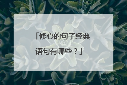 修心的句子经典语句有哪些?
