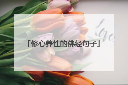 修心养性的佛经句子