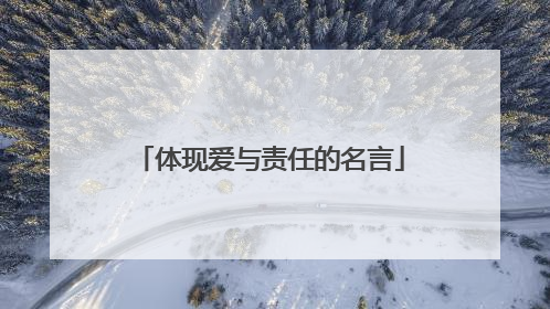 体现爱与责任的名言