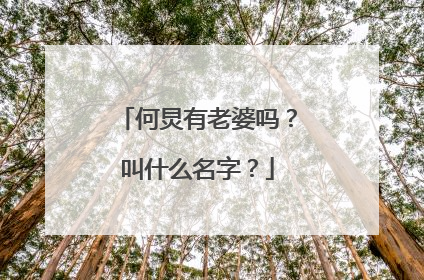何炅有老婆吗？叫什么名字？