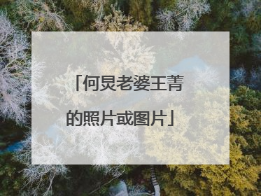 何炅老婆王菁的照片或图片