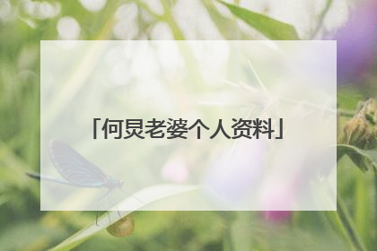 何炅老婆个人资料