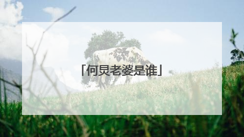 何炅老婆是谁