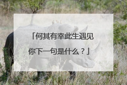 何其有幸此生遇见你下一句是什么？