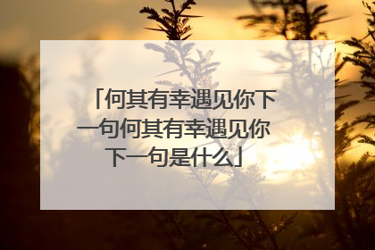 何其有幸遇见你下一句何其有幸遇见你下一句是什么