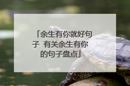 余生有你就好句子 有关余生有你的句子盘点
