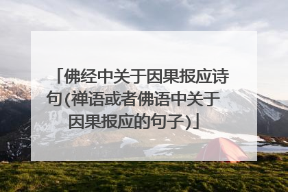 佛经中关于因果报应诗句(禅语或者佛语中关于因果报应的句子)