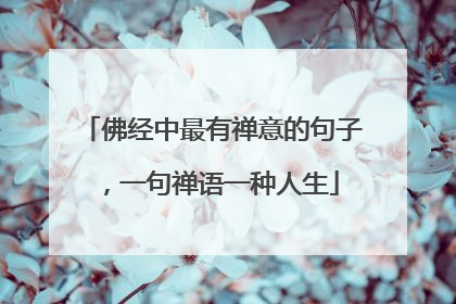 佛经中最有禅意的句子，一句禅语一种人生