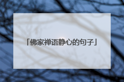 佛家禅语静心的句子