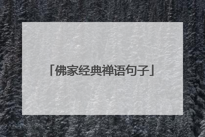 佛家经典禅语句子