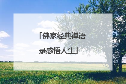佛家经典禅语录感悟人生