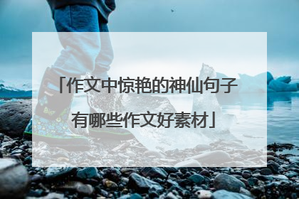 作文中惊艳的神仙句子 有哪些作文好素材