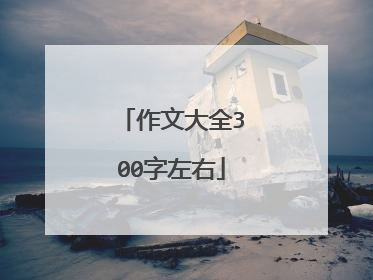 作文大全300字左右