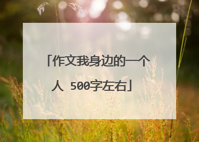 作文我身边的一个人 500字左右