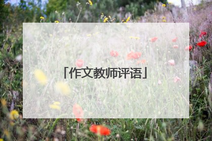 作文教师评语