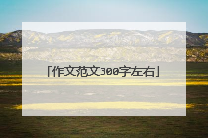 作文范文300字左右