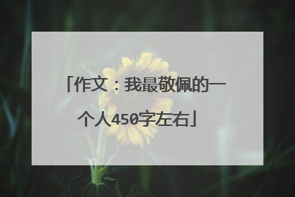 作文:我最敬佩的一个人450字左右