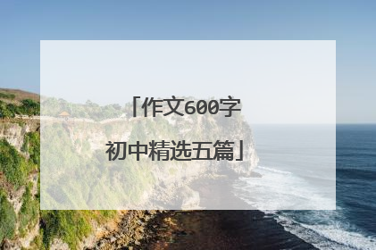 作文600字初中精选五篇