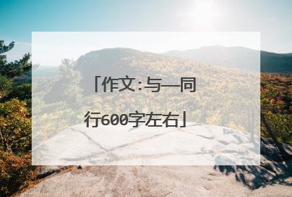 作文:与——同行600字左右