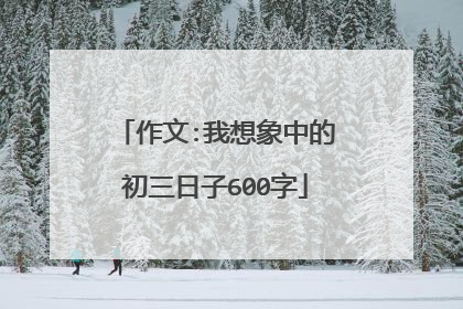 作文:我想象中的初三日子600字
