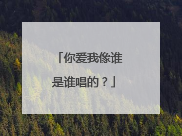 你爱我像谁是谁唱的？