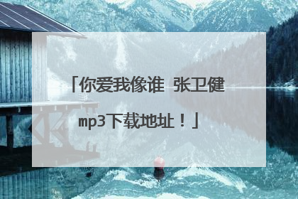 你爱我像谁 张卫健mp3下载地址！