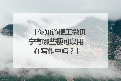 你知道梗王撒贝宁有哪些梗可以用在写作中吗？