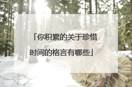 你积累的关于珍惜时间的格言有哪些