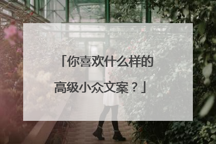 你喜欢什么样的高级小众文案？