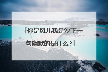 你是风儿我是沙下一句幽默的是什么?