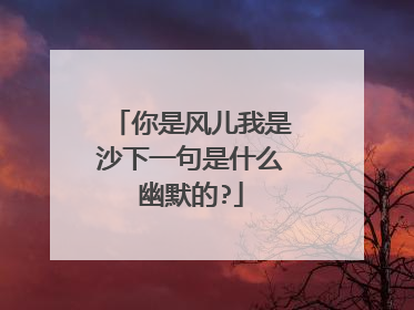 你是风儿我是沙下一句是什么幽默的?