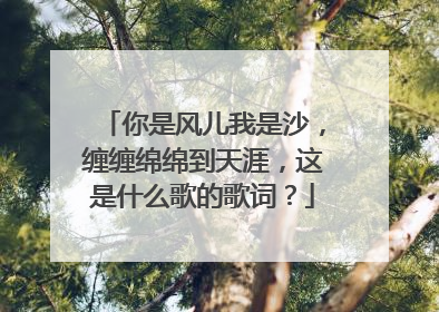 你是风儿我是沙，缠缠绵绵到天涯，这是什么歌的歌词？
