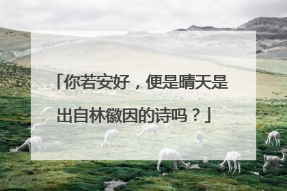 你若安好,便是晴天是出自林徽因的诗吗?