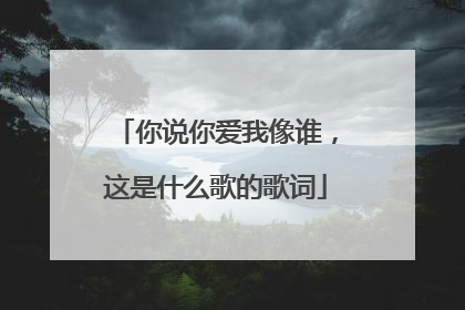 你说你爱我像谁，这是什么歌的歌词
