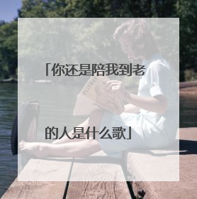 你还是陪我到老的人是什么歌