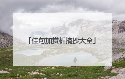 佳句加赏析摘抄大全
